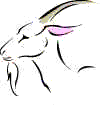 Capricorn: Dec.22-Jan.29